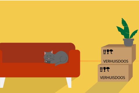 Woonkeus-stedendriehoek